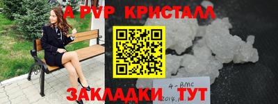 прущие грибы Тула