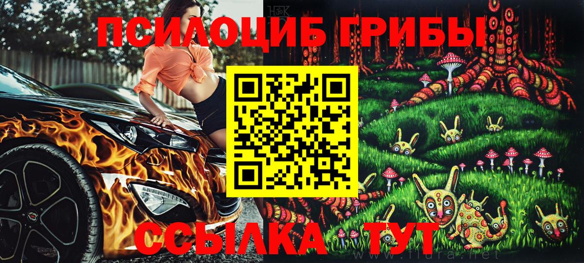 Галлюциногенные грибы Psilocybe  Вход с VPN  Надым 